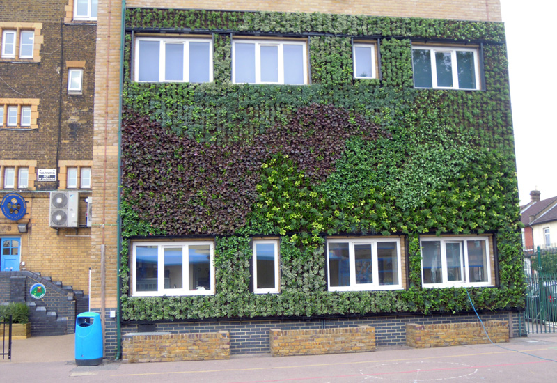 Local authority living walls