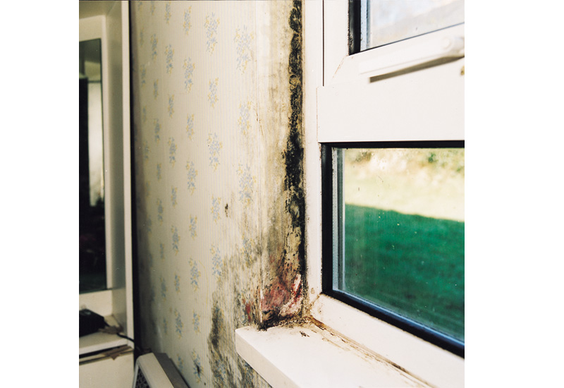 Ventilation strategies for tackling condensation and mould in homes
