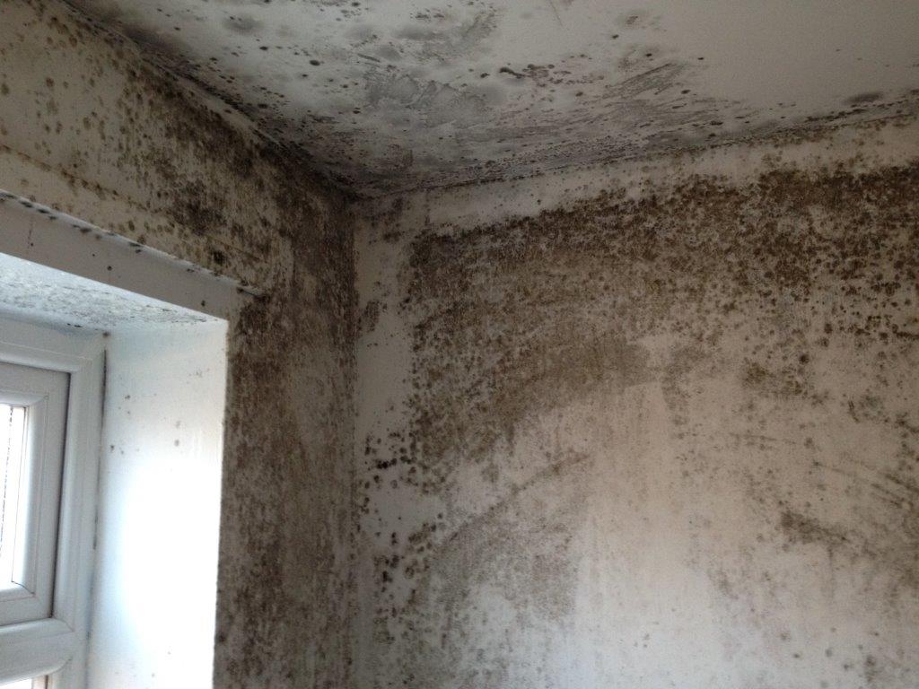 Airtech offers landlords free technical CPD seminar on condensation and mould
