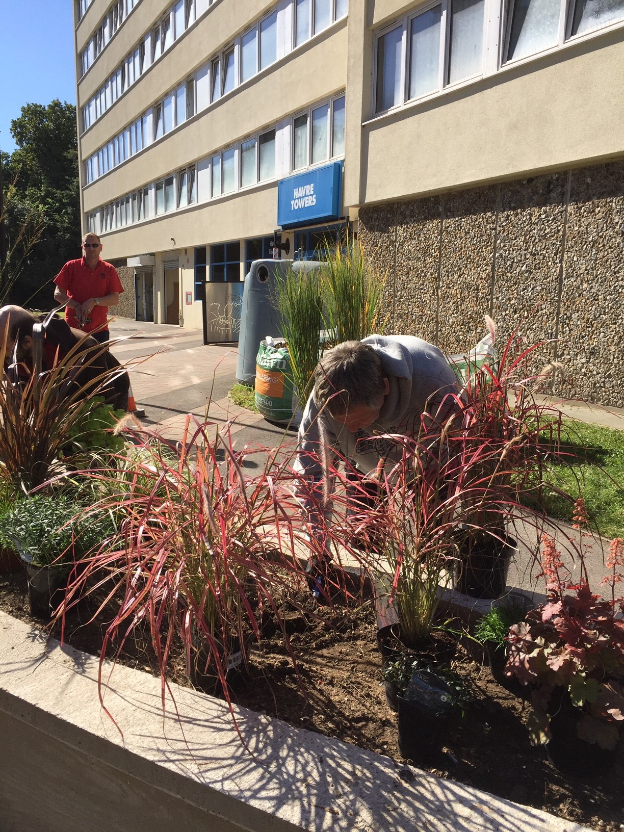 Residents transform tower blocks for ‘Plants for People’ project
