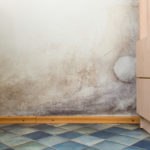 Housing Survey Reveals 12% of Social Housing Residents in England and Wales Affected by Mould and Damp