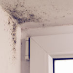 London Assembly Environment Committee report illustrates London’s damp and mould problems