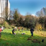 100 trees to mark 100 years of council housing in Nottingham
