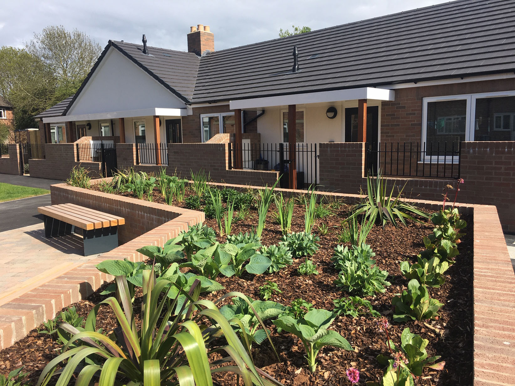 New council bungalows are ‘the best thing that could have happened to us’