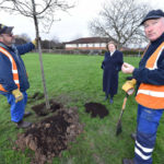 Oak tree planted in tribute to town’s NHS COVID heroes