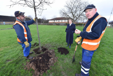 Oak tree planted in tribute to town’s NHS COVID heroes