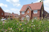 The housebuilding industry can lead the way on biodiversity
