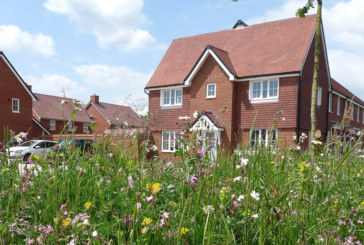 The housebuilding industry can lead the way on biodiversity