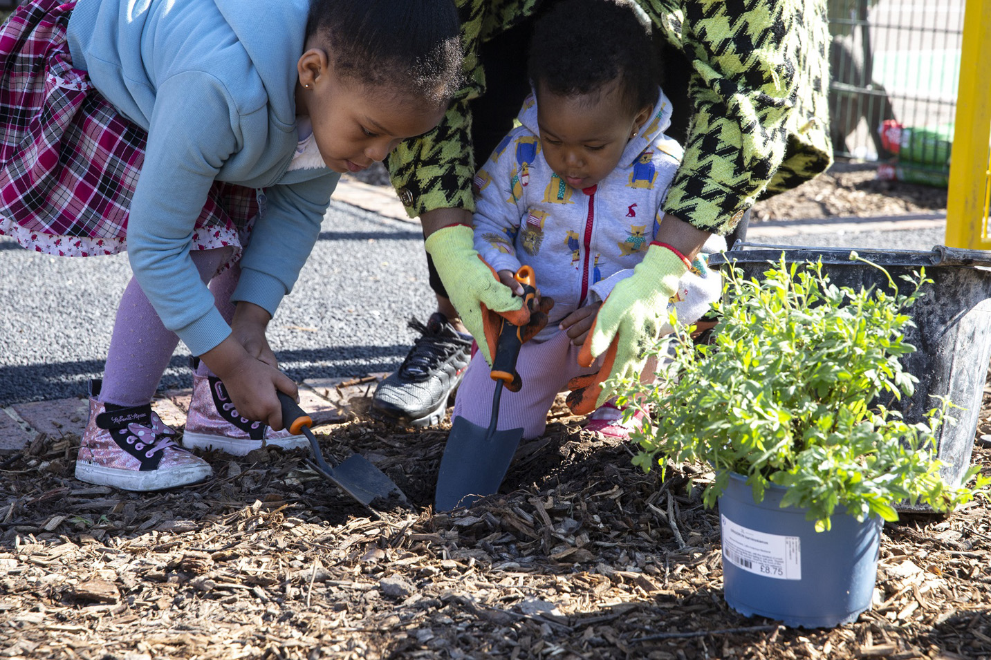 Local children helping to plant (LR) - labm