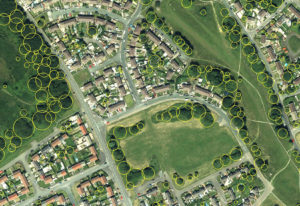 Bluesky's Tree Map helps green infrastructure planning for housing in Swansea
