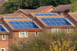Do you need support with the Social Housing Decarbonisation Fund?