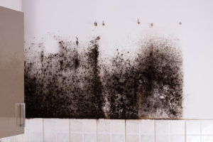 Trade body calls for more stringent enforcement of Building Regulations to tackle issues with damp and mould in homes