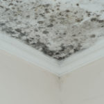 Housing sector comes together to address damp and mould