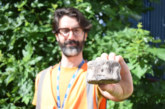 Unearthing ancient history at Aragon and Sackville Close — finds include a fossilised Dinosaur Vertebrae!