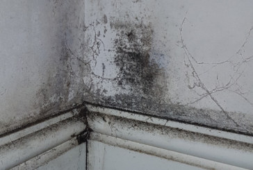 Vent-Axia welcomes Government’s latest mould guidance