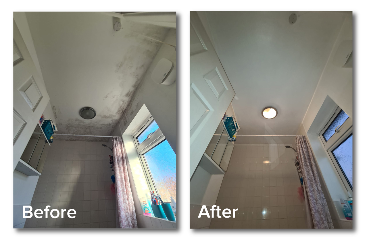 Tackling Condensation & Mould with The Dwelling Doctors