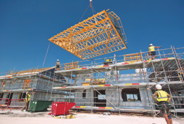 Timber construction policy roadmap brings new opportunities for industry growth