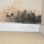 Trade body’s new ventilation training programme launched to tackle blight of damp and mould in homes
