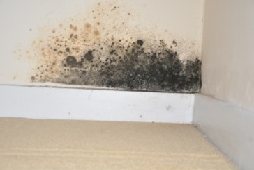 Trade body’s new ventilation training programme launched to tackle blight of damp and mould in homes