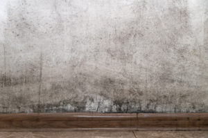 Tackling Condensation & Mould with The Dwelling Doctors