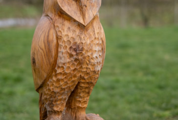 Woodland sculptures unveiled in Market Harborough