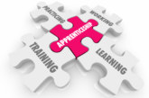 Shining a light on trade careers