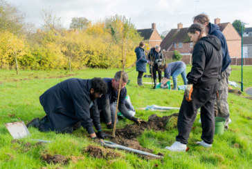 Orbit releases updated Sustainability Strategy