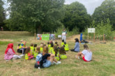 Tiny Forest planted in Haringey to provide miniature woodland for local community and wildlife