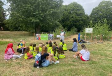 Tiny Forest planted in Haringey to provide miniature woodland for local community and wildlife