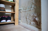 One in 10 social rented homes still fail basic standards as Awaab’s Law looms