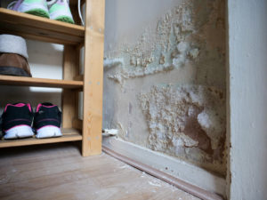 One in 10 social rented homes still fail basic standards as Awaab’s Law looms