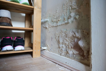 One in 10 social rented homes still fail basic standards as Awaab’s Law looms