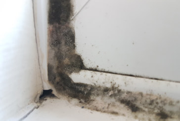 Airtech helps landlords comply with Awaab’s Law