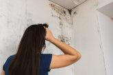 Experts warn landlords against ‘quick fix’ mould solutions as Awaab’s Law comes into force