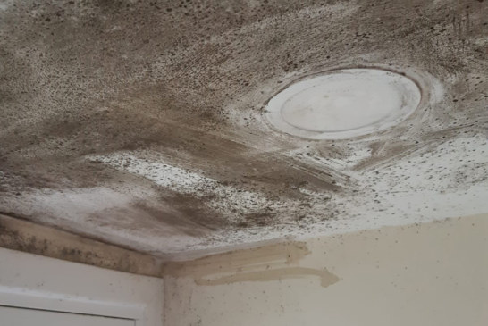 Airtech urges landlords to ensure good indoor air quality for tenants as Awaab’s Law takes effect