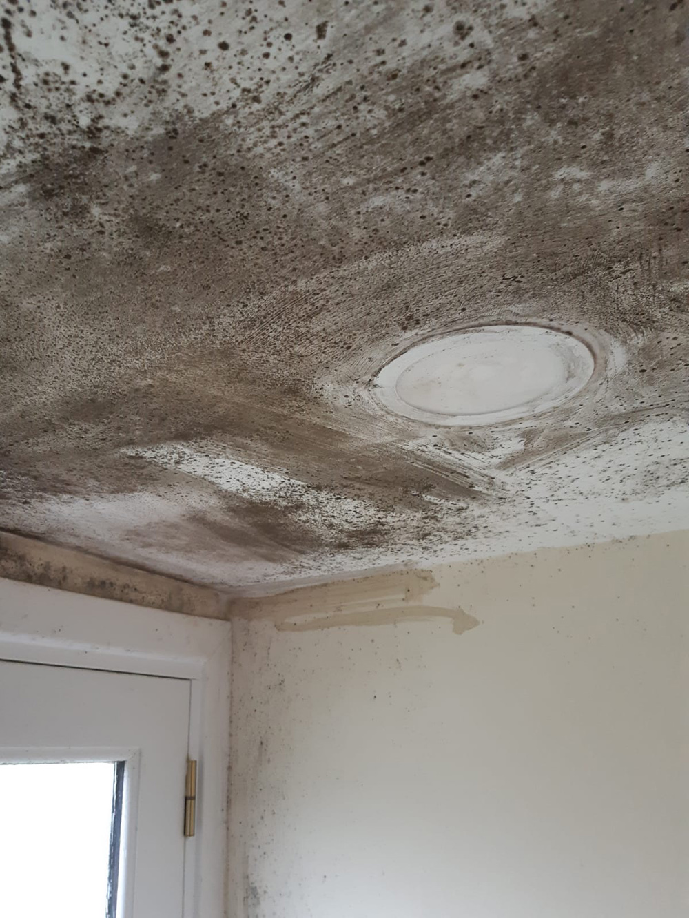 Airtech urges landlords to ensure good indoor air quality for tenants as Awaab’s Law takes effect
