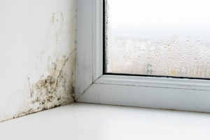 Lucion warns Awaab’s Law demands prevention, not reaction, on damp and mould compliance