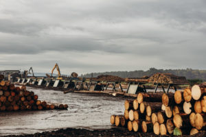 Industry unites to educate home builders on sustainable timber construction