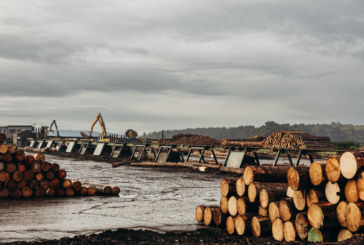 Industry unites to educate home builders on sustainable timber construction