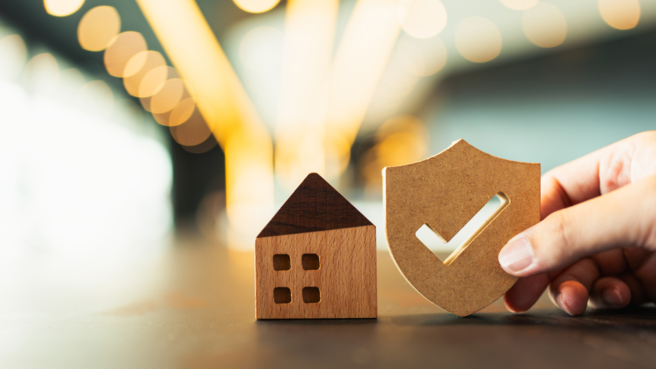 Early Awaab’s Law data shows strong compliance but growing pressure on capacity and consistency